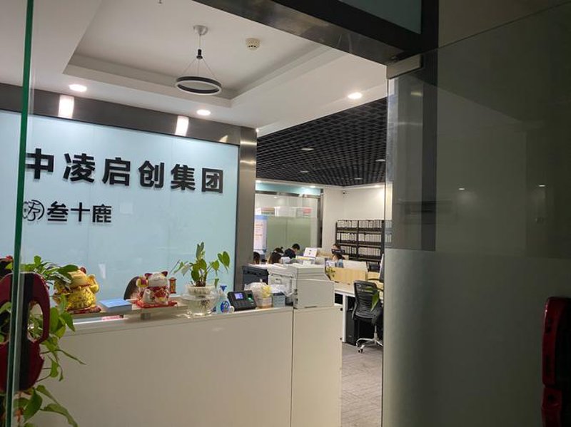 媒介代理